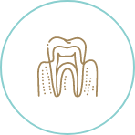 Illustrated tooth within receding gums icon