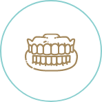 Illustrated model of teeth icon